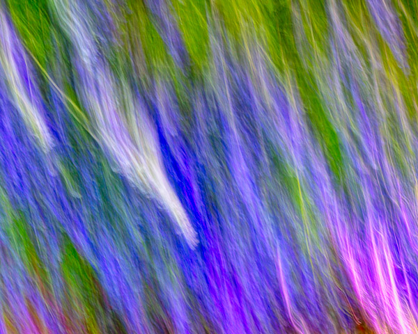 Tohono Chul Gardens, Tucson, AZ