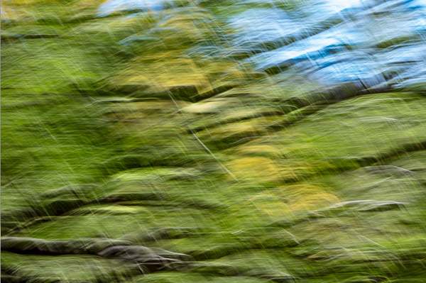 Tohono Chul Gardens, Tucson, AZ