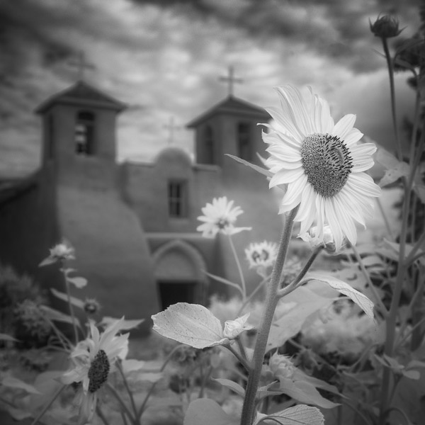 04_SanFranciscodeAsisChurch-20240721-r5-850-0009-cr-master