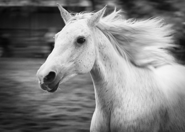 08_img-20250731-r5-0868-pr-master