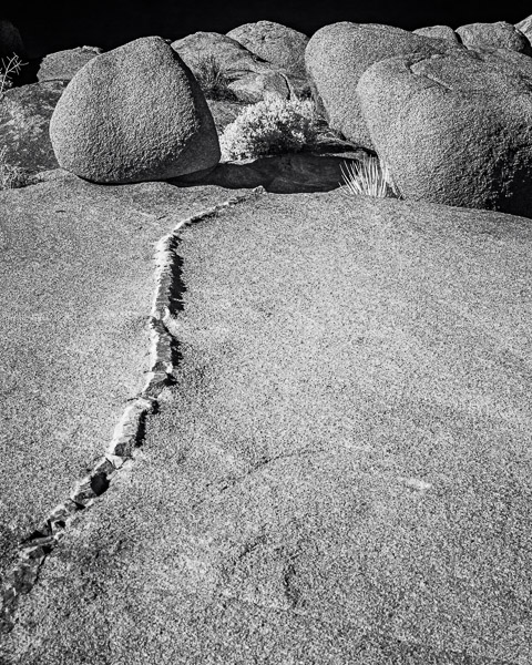 Joshua Tree National Park, California