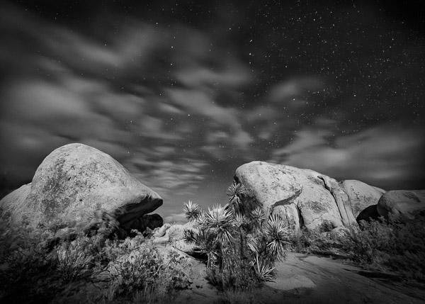 Joshua Tree National Park, California