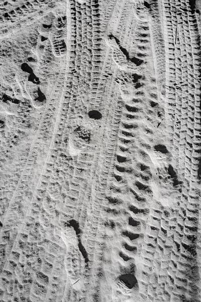 Organ Pipe Nation Monument, AZ