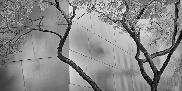 Walt Disney Concert Hall , Los Angeles, CA