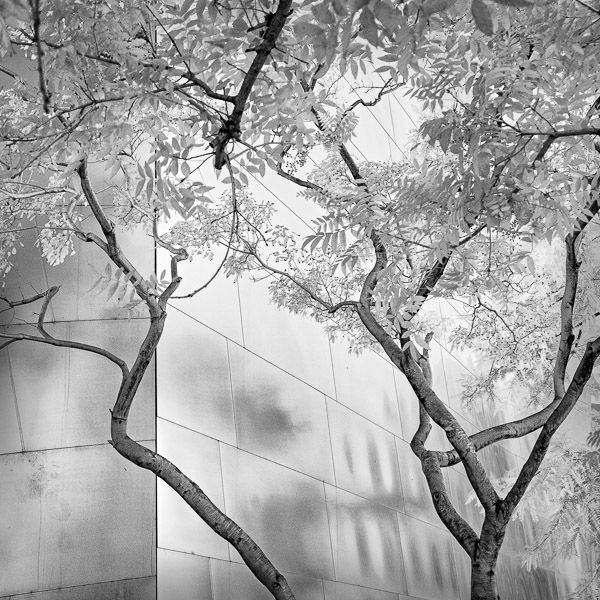 Walt Disney Concert Hall , Los Angeles, CA