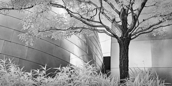 Walt Disney Concert Hall , Los Angeles, CA