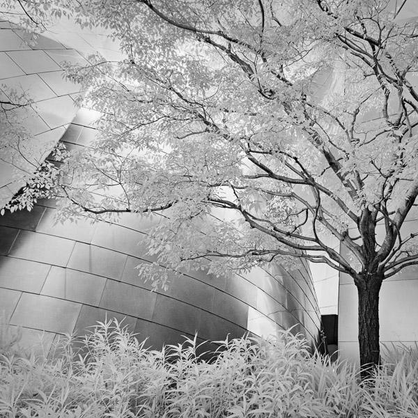 Walt Disney Concert Hall , Los Angeles, CA