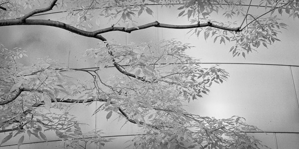 Walt Disney Concert Hall , Los Angeles, CA